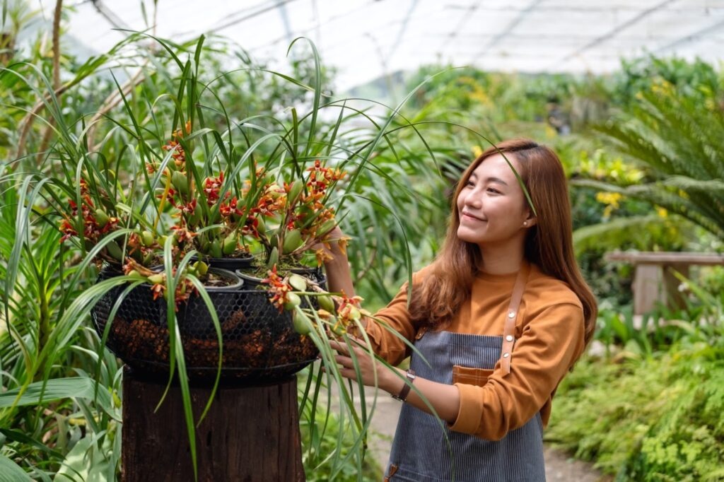 Landscaping Services Singapore